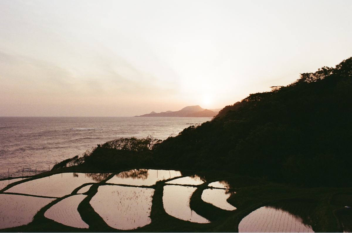 写真1